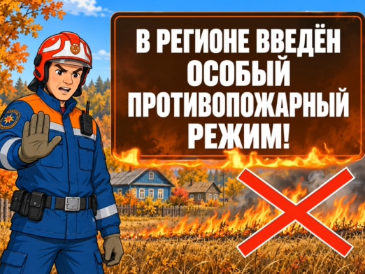 В регионе введён особый противопожарный режим.